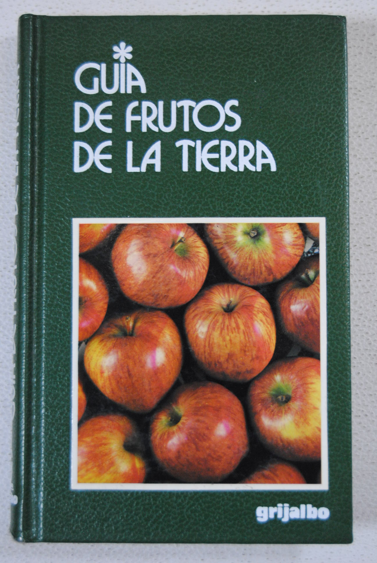 Guía de frutos de la tierra / Maria Vittoria Divincenzo