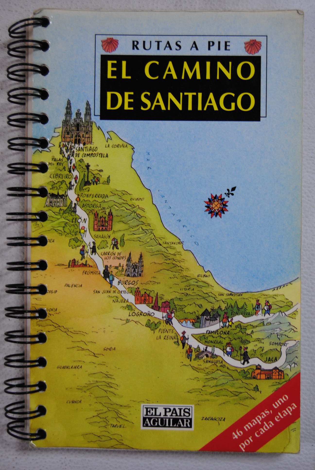 El Camino de Santiago a pie / Juan Mora