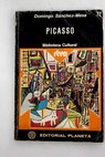 Picasso / Domingo Snchez Mesa Martn
