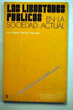 Las libertades pblicas en la sociedad actual / Miguel Garca Iturriaga