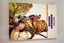 Robinson Crusoe / Daniel Defoe