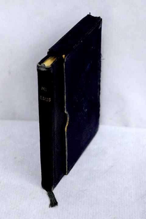 Mi Jesús: devocionario que ofrece a los niños el P. Luis Ribera ...