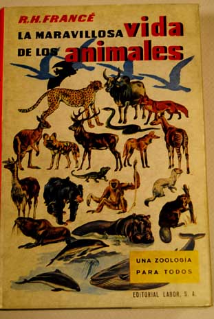 La maravillosa vida de los animales Una zoologa para todos / Raoul Heinrich Franc