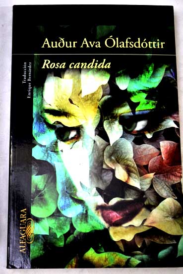 Rosa candida / Audur Ava Olafsdottir